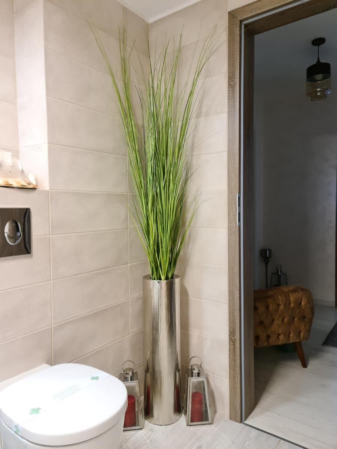 Apartment Alonisos Lux Brasov Bagian luar foto