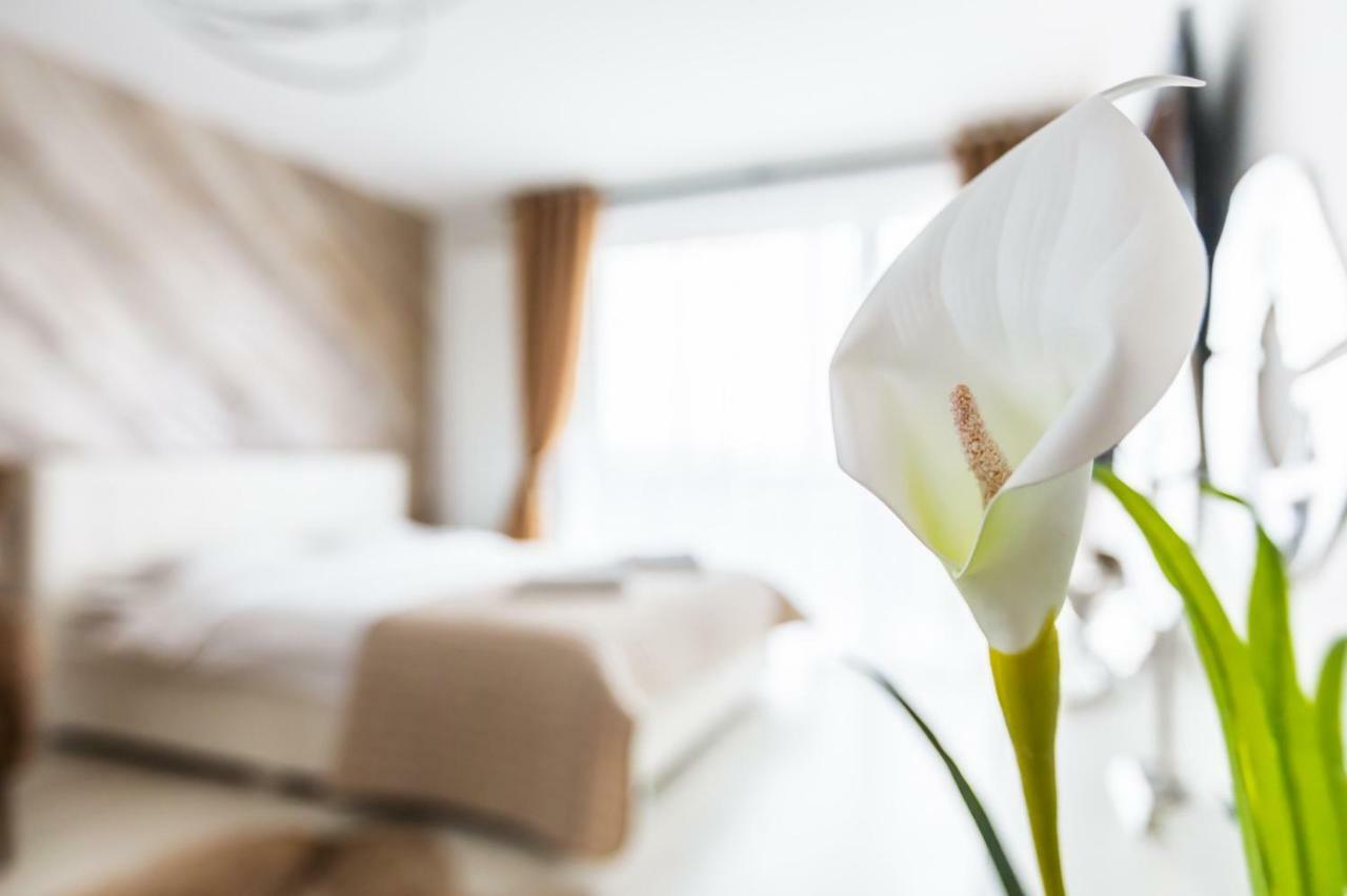 Apartment Alonisos Lux Brasov Bagian luar foto